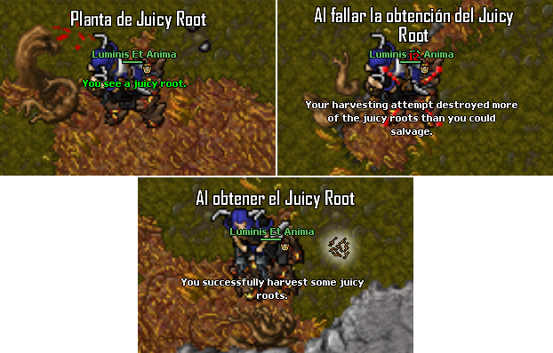 Oramond Q Plantas Jr2 - Plants (622x398), Png Download