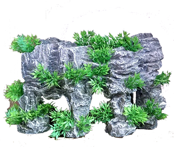 Pared Con Plantas 2 - Plantas De Pared Png (350x350), Png Download