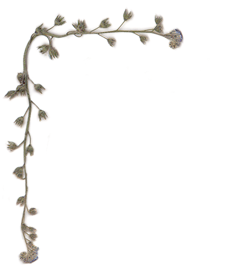 Floral Design (483x551), Png Download