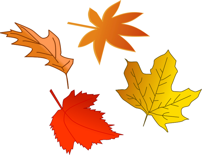 Fall - Leaves Clipart (700x538), Png Download