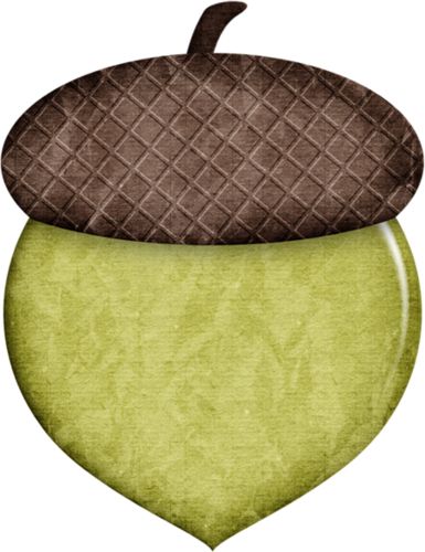 Jss Happycamper Acorn Green - Apple (385x500), Png Download