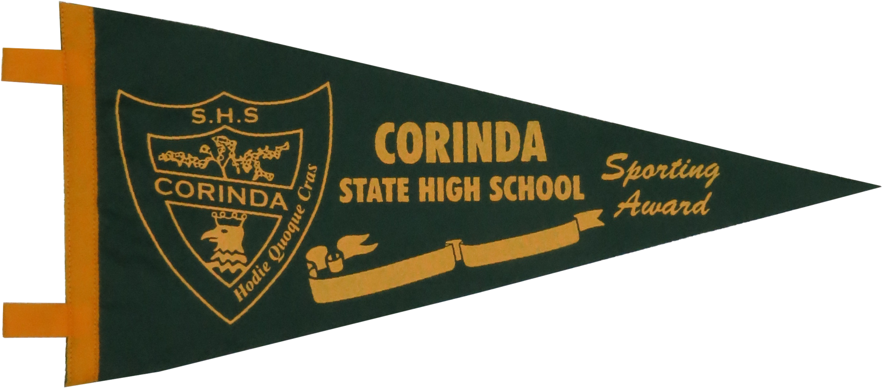 Sports Pennant Png Freeuse - Sports (999x471), Png Download