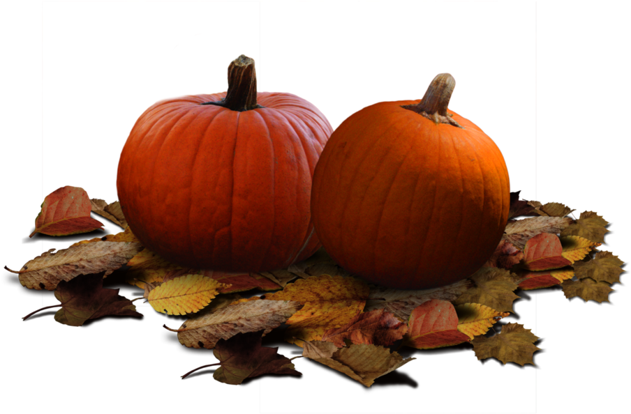 Pumpkin Patch Stock Png By Karahrobinson-art On Deviantart - Pumpkin (1092x731), Png Download
