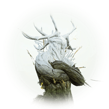 Icon - Codex (360x360), Png Download