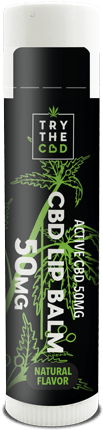What To Look For In The Best Lip Balm - Cbd Balm (500x500), Png Download
