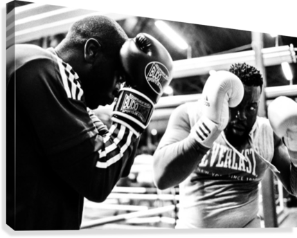 Boxing Canvas Print - Boxing (429x344), Png Download