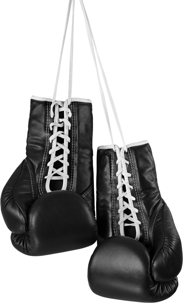 Download Black Boxing Gloves Hanging Transparent PNG Download SeekPNG