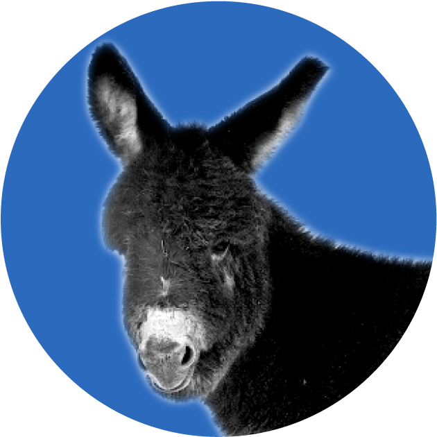 50 Voters Prefer Republicans In The Midterms - Jpeg (1260x878), Png Download