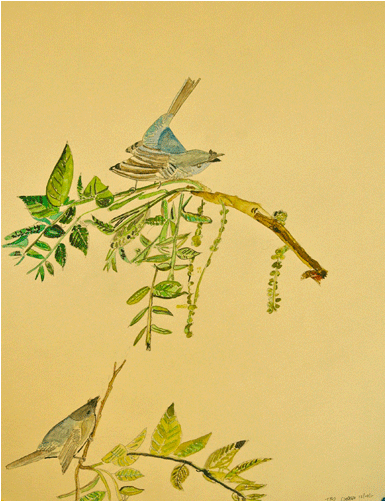 Watercolor Birds 1 - Illustration (700x500), Png Download