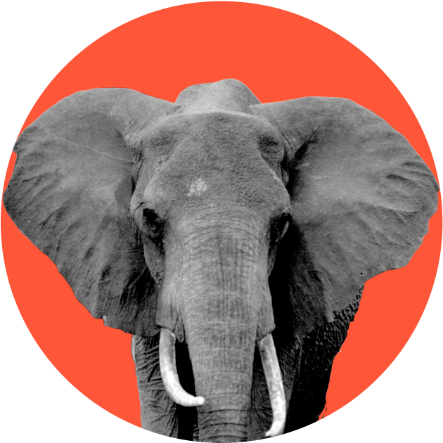 Republican 41% - Jpeg (1260x878), Png Download