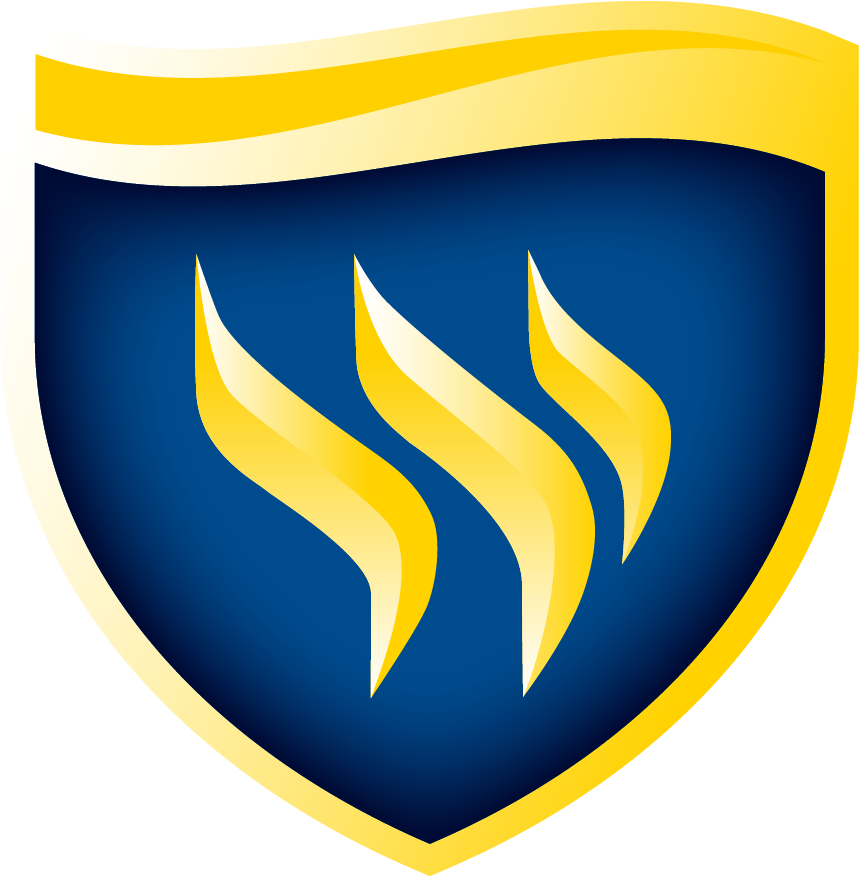 School Logo Template Png - Texas Wesleyan Logo (1200x1200), Png Download