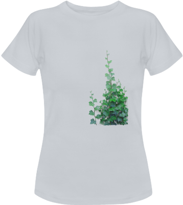 Vines, Climbing Plant Women's Classic T-shirt - Christmas Tree (500x500), Png Download