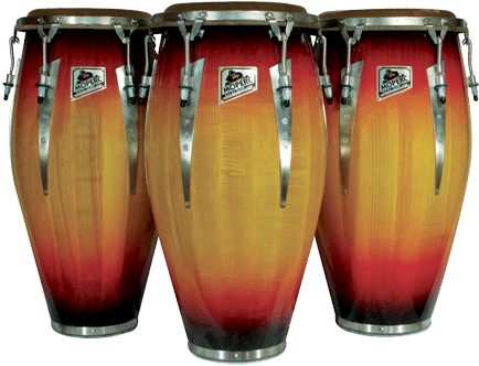 Congas, Bongos & Timbales - Congas Salsa Png (450x351), Png Download