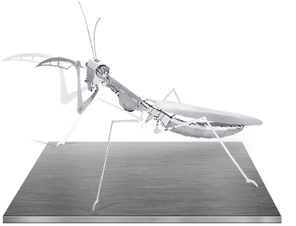 Metal Praying Mantis 3d Kit - Metal Earth Praying Mantis (440x330), Png Download