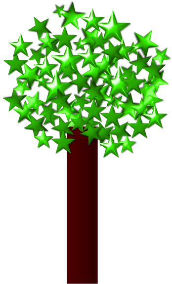 Rvores E Arbustos Pinterest Album Seedstrees (493x649), Png Download