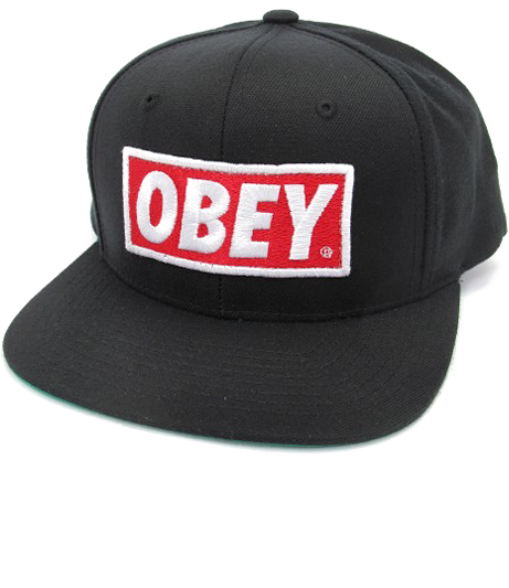 Obey Cap Png Transparent Image - Obey Snapback Png Transparent (460x612), Png Download