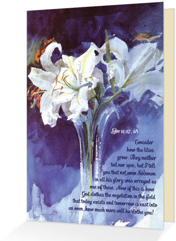 Consider The Lilies - White Lilies (500x500), Png Download