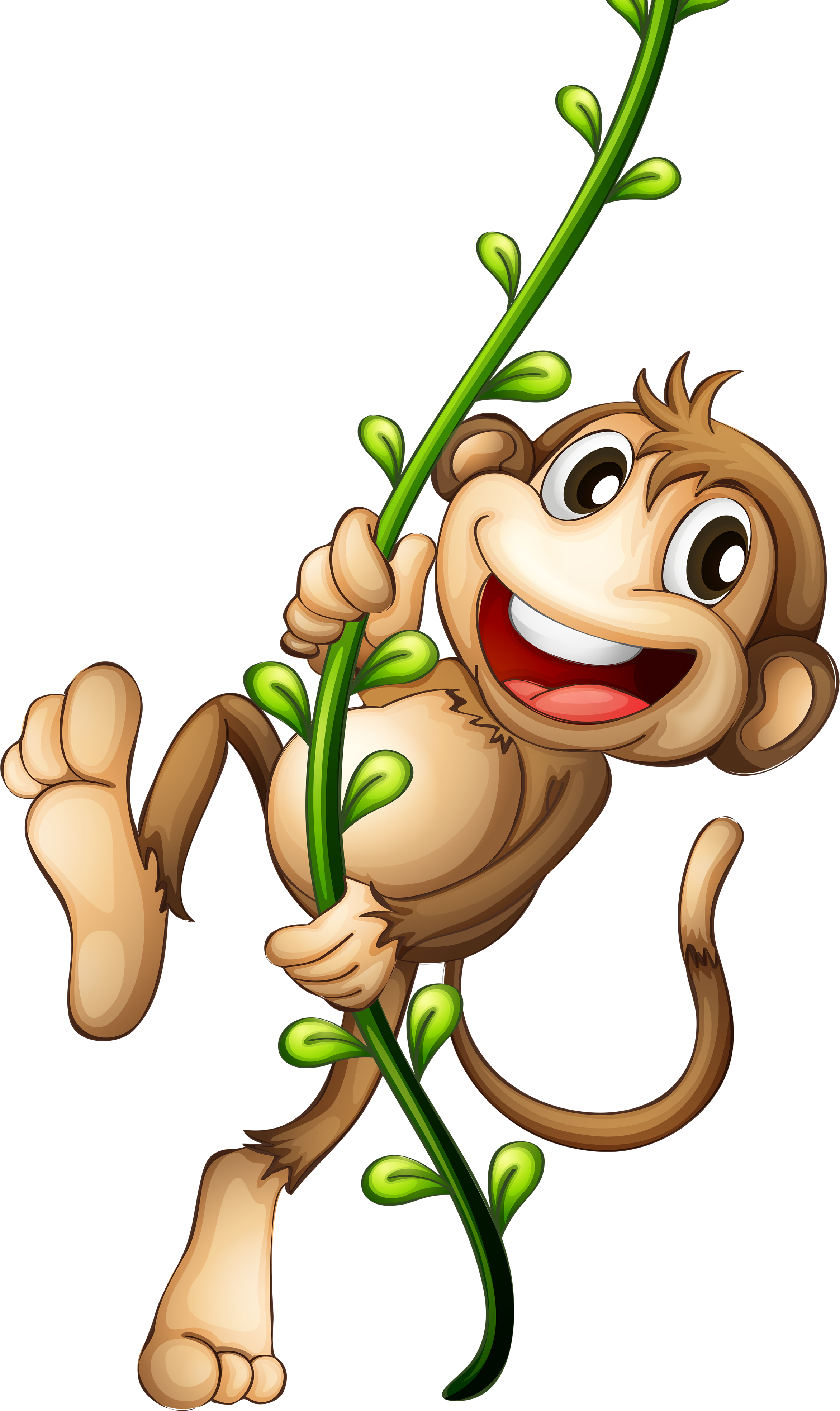 Cartoon Png Clipart - Animation Monkey Png (600x600), Png Download