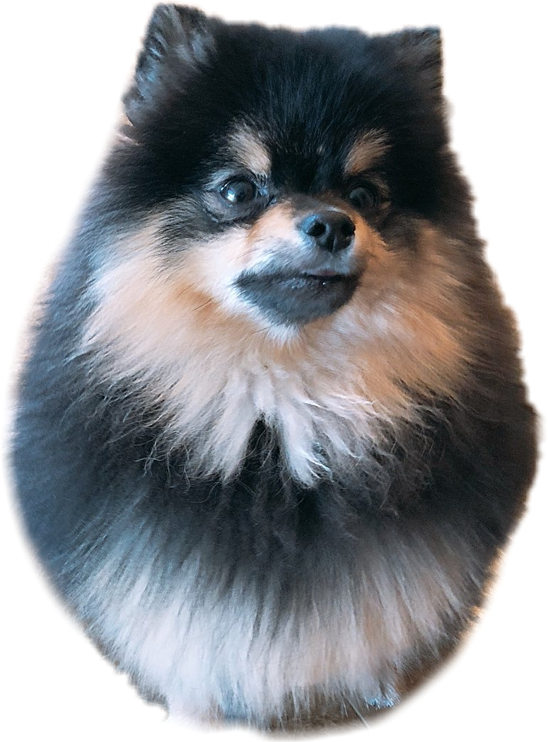 Report Abuse - Min Holly And Suga (775x1049), Png Download