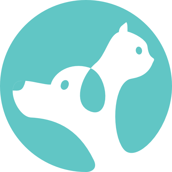 Equipe Petiko - Logo Cachorro E Gato (590x590), Png Download