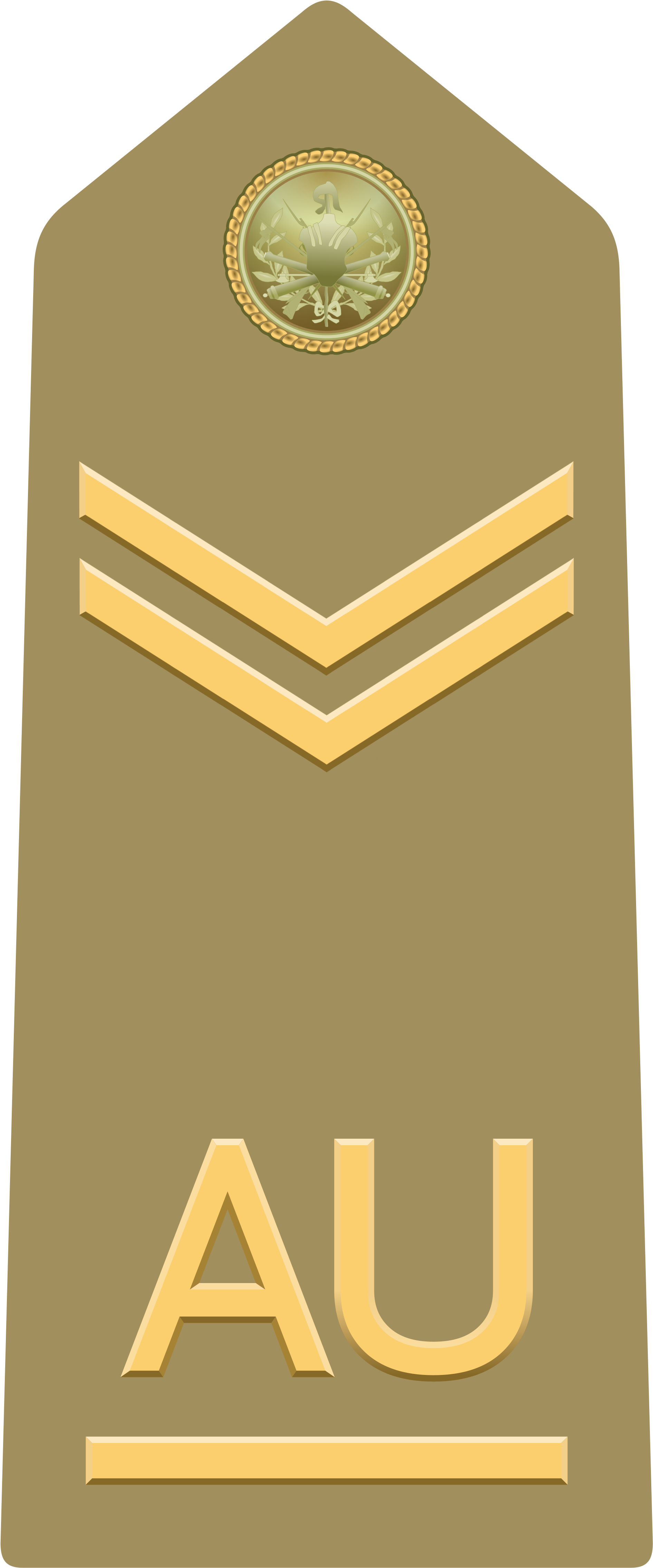 Allievo Ufficiale Scelto Of The Italian Army - Allievo Ufficiale Grado (2000x4744), Png Download