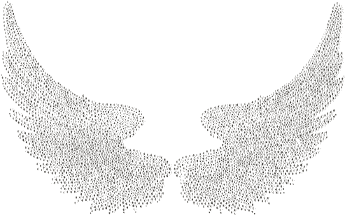 S2578s Clr<br>medium All Clear Wings - Insect Wing (500x484), Png Download