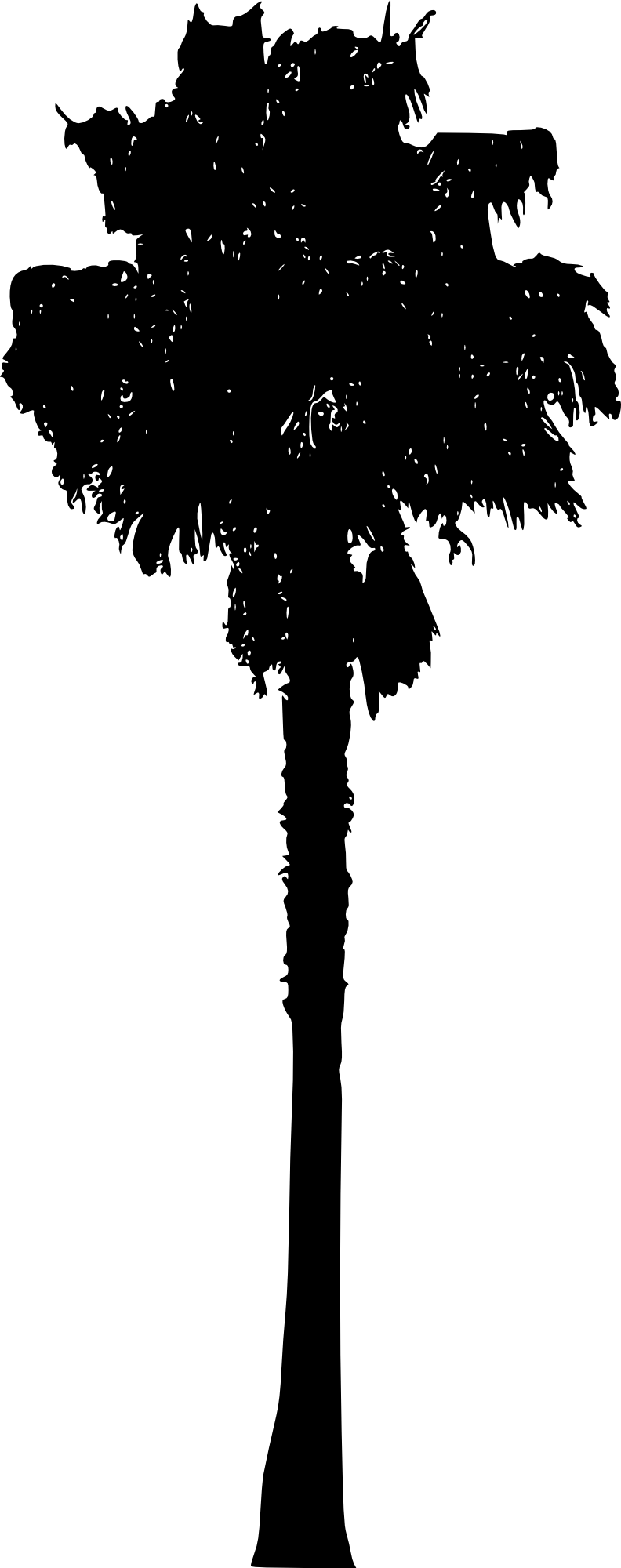 15 Palm Tree Silhouettes Png Transparent Background - Portable Network Graphics (792x2000), Png Download