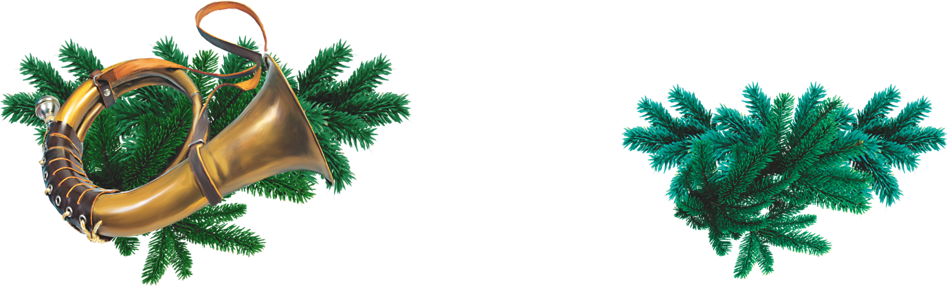 Tree-1 - Kräutertee-aperitif Tanne (250 Ml) Von Medicura (1381x428), Png Download