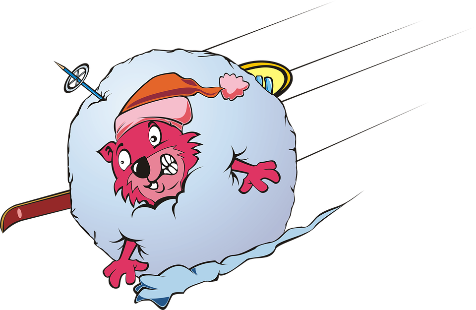 Marmot, Mammal, Rodent, Red, Pink, Ski, Snow, Mountain - Marmot (960x625), Png Download