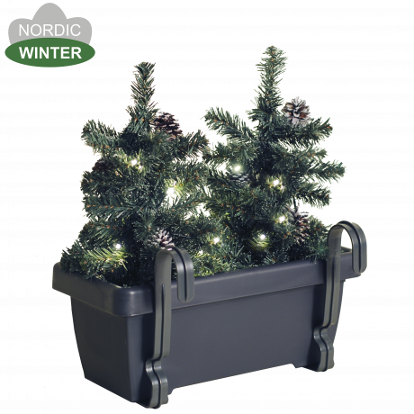 Balcony Box With Christmas Trees And Lights - Tree (460x460), Png Download