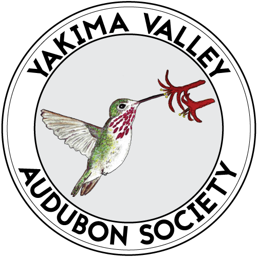 Snow Mountain Ranch Field Trip Produces Fun Bird Sightings - Yakima (500x500), Png Download