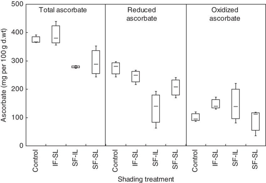 Impact Of Shading On Fruit Ascorbate Content And Its - Fruit (850x583), Png Download