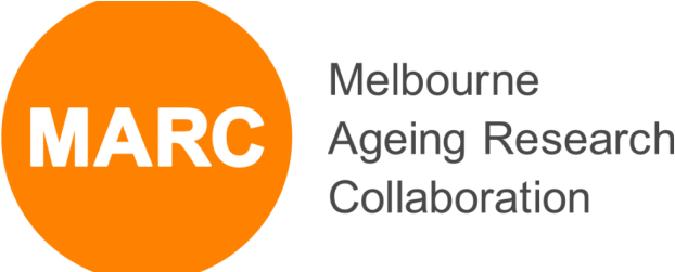 Future Directions Png Graphic Transparent - Shaukat Khanum Memorial Hospital Logo (633x250), Png Download