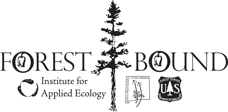 Southwest Ecological Education - Us Forest Service T-shirt, Forest Service Shield T-shirt, (800x435), Png Download