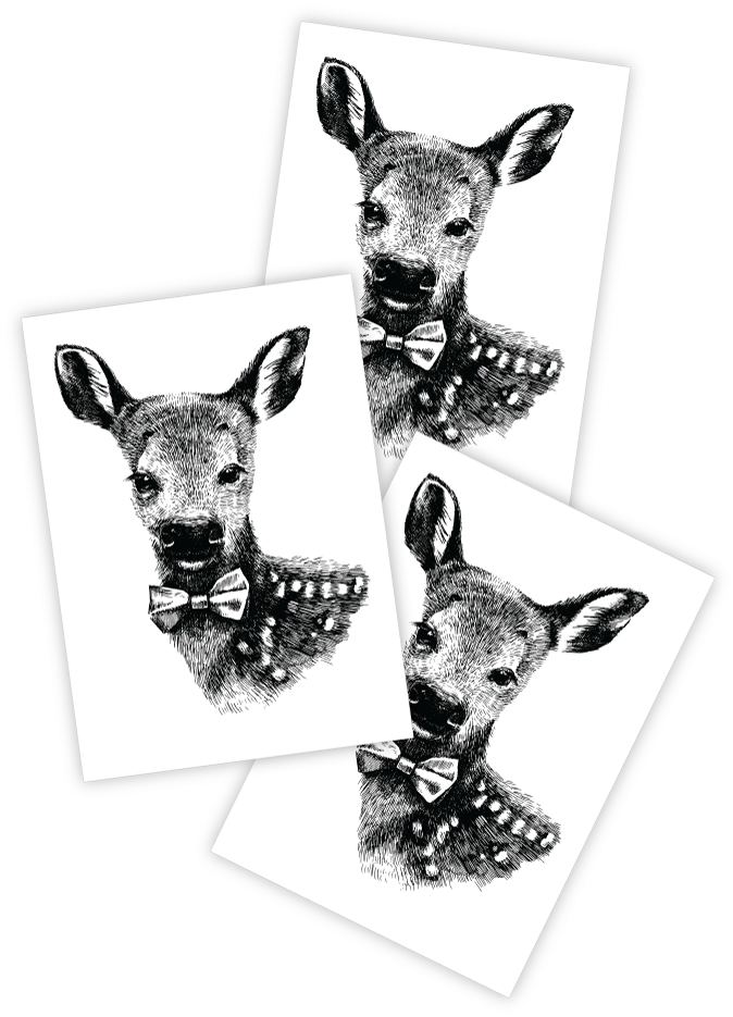 Baby Deer - Deer (810x1080), Png Download