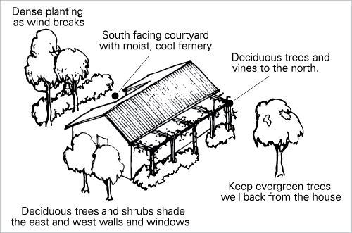 A Diagram Shows How Plants Can Provide Shade And Act - Shade (500x331), Png Download