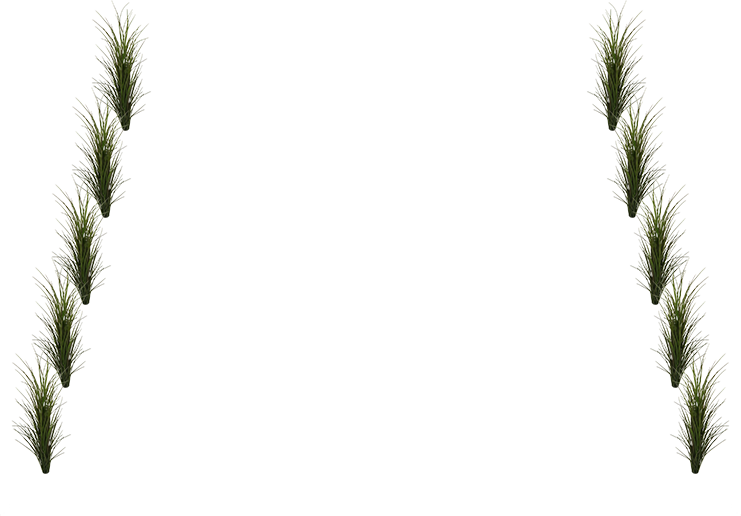 Greenery Posts - Florida (741x516), Png Download