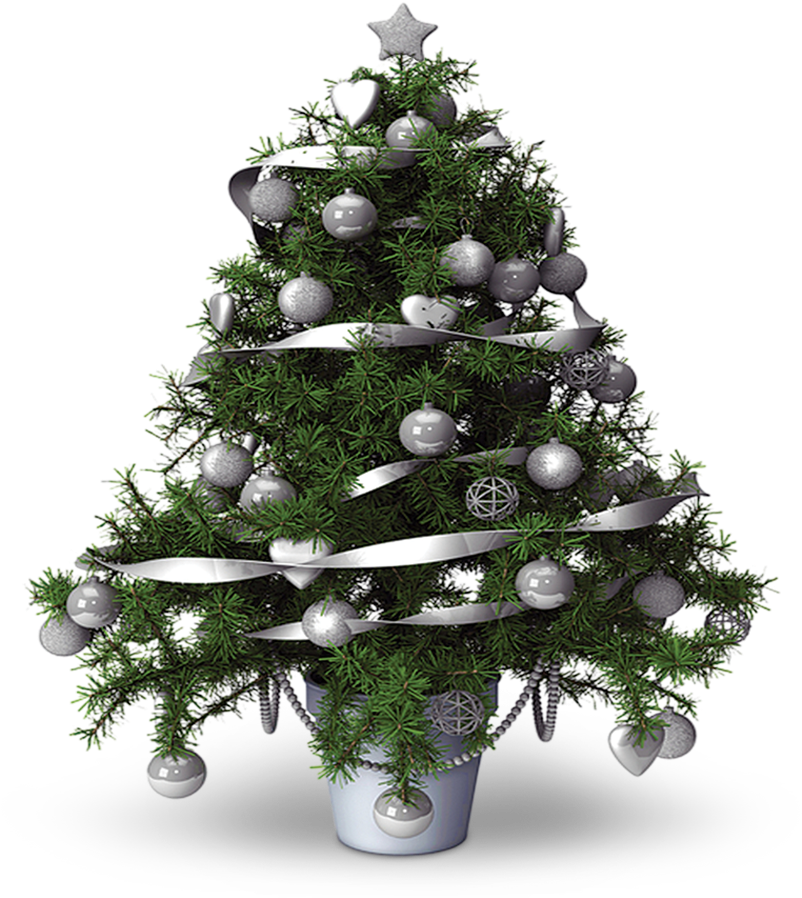 Collection Scent - Christmas Tree - Christmas Tree (900x900), Png Download