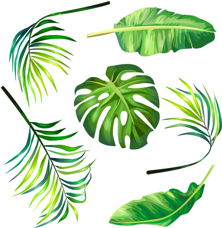 Cropped-471 - Background Green Vector Png (480x480), Png Download