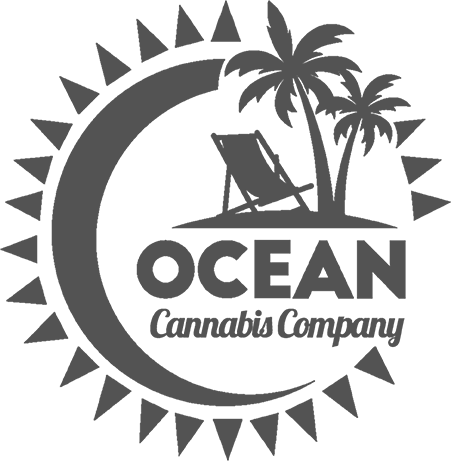 Untitled-1 - Palm Tree Surf Logo (451x461), Png Download