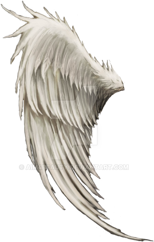 Exotic Angel - Dark Angel (600x875), Png Download