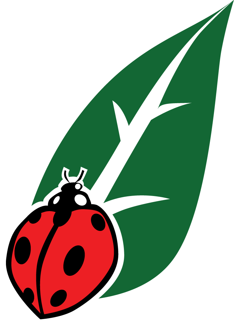 Qic Cannabis Qic Cannabis - Culture (746x1033), Png Download