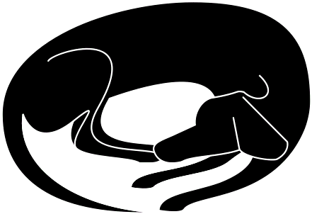 A Dog Resting Or Sleeping - Dog (800x800), Png Download