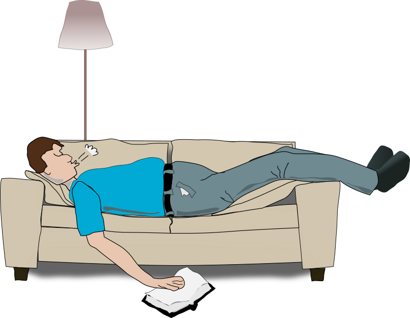 Medium Image - Sleeping On A Small Couch (800x621), Png Download