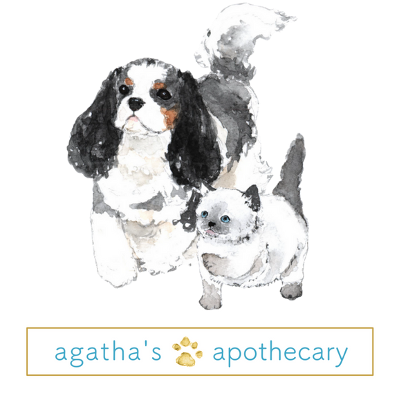 Prancing Agatha With Fluffy Logo - Portable Network Graphics (600x600), Png Download