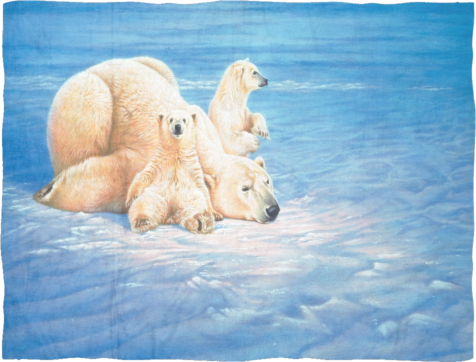 1 - Schmidt Joh Naito Polar Bears Jigsaw (1000 Pieces) (1024x1024), Png Download