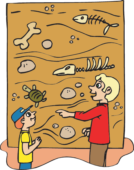 The Best Book Of Fossils, Rocks, And Minerals - Transparent Bg Fossil Cartoon (472x596), Png Download