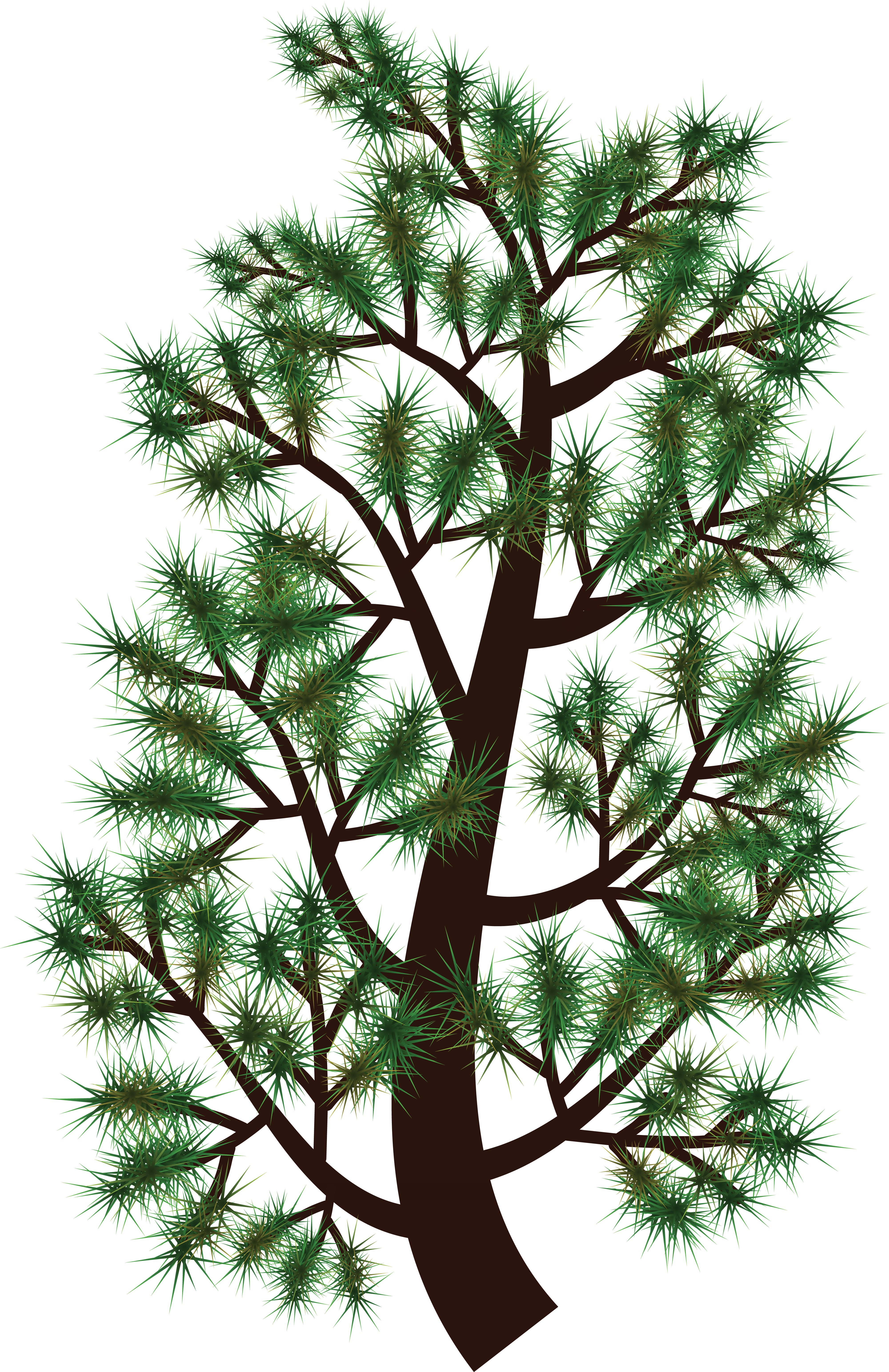 Free Clipart Of A Pine Tree Branch - Pine Tree Branch Clip Art (4000x6172), Png Download