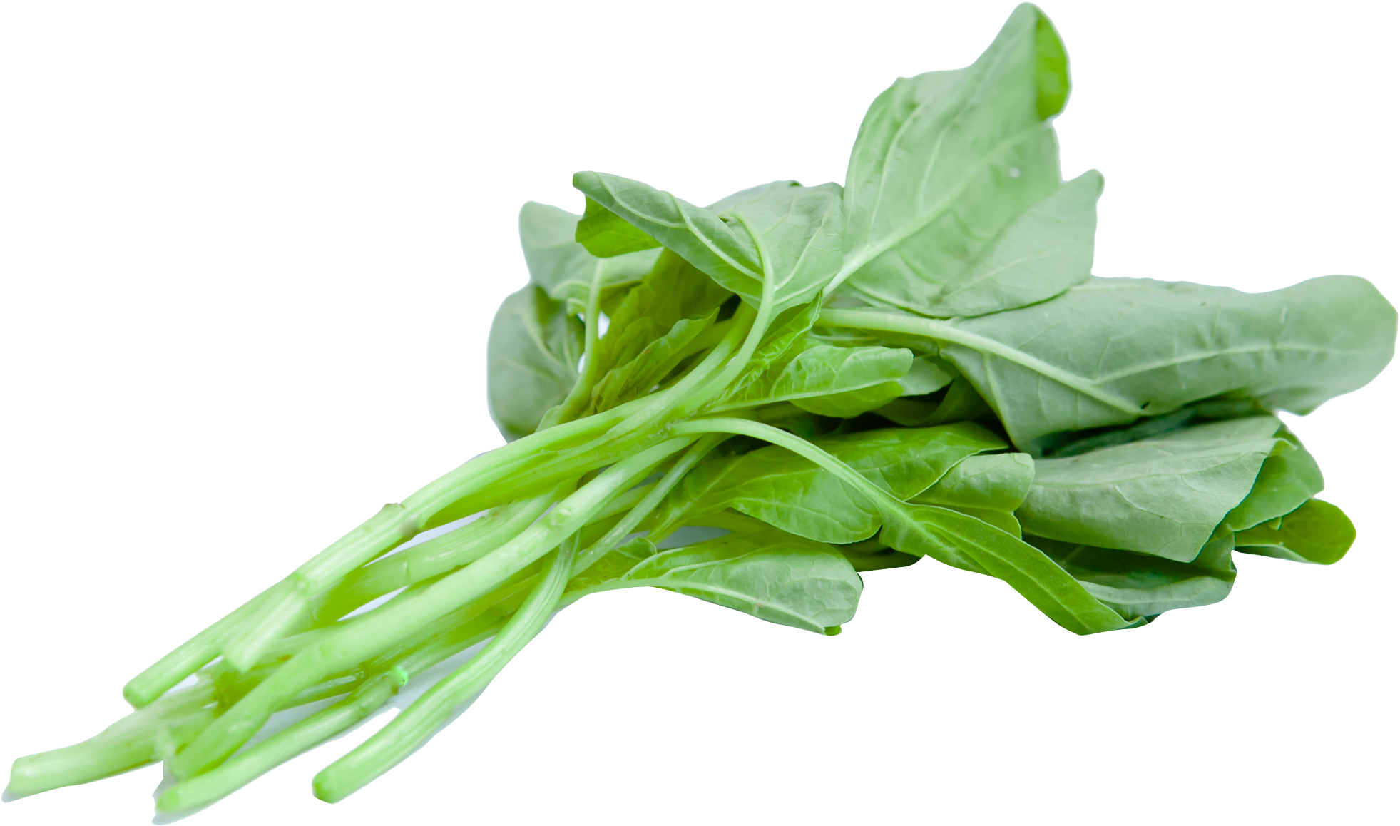 Free Png Chinese Spinach Png Images Transparent - Spinach Png (850x504), Png Download