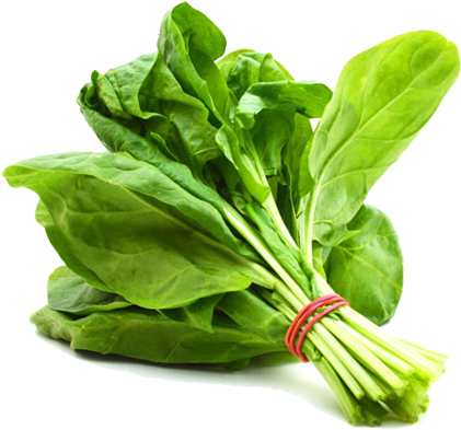 Spinach Png Hd - Palak Keerai (700x700), Png Download